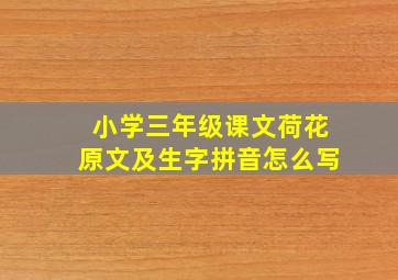 小学三年级课文荷花原文及生字拼音怎么写