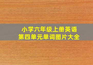 小学六年级上册英语第四单元单词图片大全