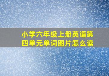 小学六年级上册英语第四单元单词图片怎么读