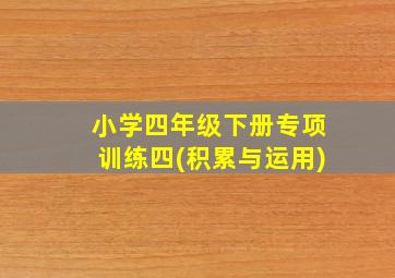 小学四年级下册专项训练四(积累与运用)