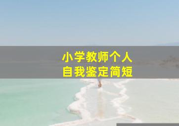 小学教师个人自我鉴定简短