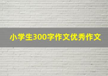 小学生300字作文优秀作文