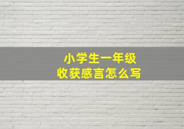 小学生一年级收获感言怎么写