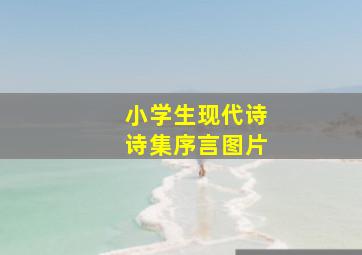 小学生现代诗诗集序言图片