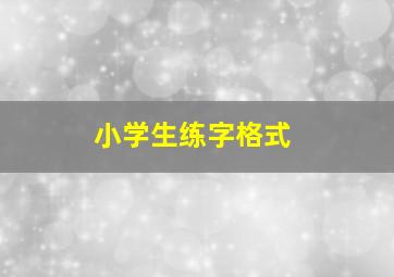 小学生练字格式