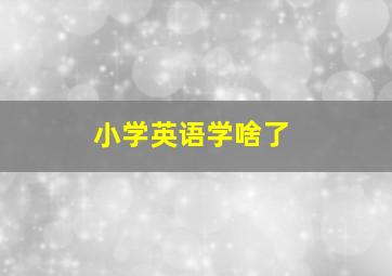 小学英语学啥了