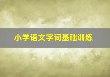 小学语文字词基础训练