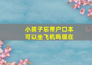 小孩子忘带户口本可以坐飞机吗现在