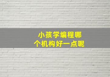 小孩学编程哪个机构好一点呢