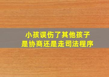 小孩误伤了其他孩子是协商还是走司法程序