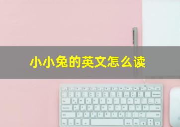 小小兔的英文怎么读