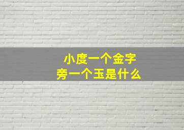 小度一个金字旁一个玉是什么