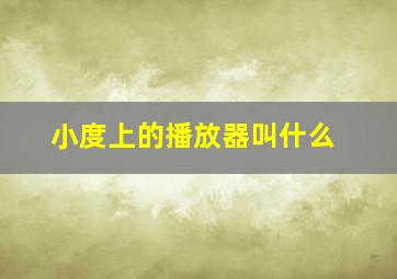 小度上的播放器叫什么