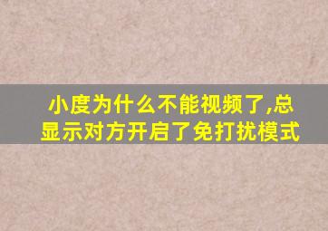 小度为什么不能视频了,总显示对方开启了免打扰模式