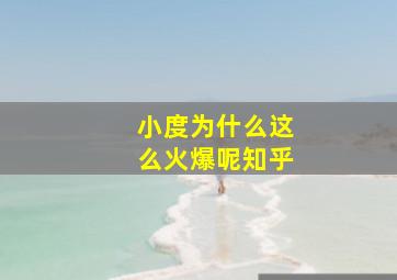 小度为什么这么火爆呢知乎