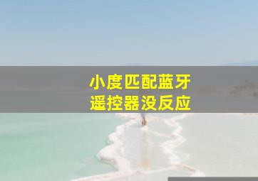 小度匹配蓝牙遥控器没反应