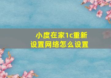 小度在家1c重新设置网络怎么设置