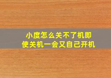 小度怎么关不了机即使关机一会又自己开机