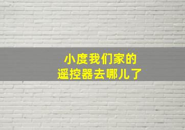 小度我们家的遥控器去哪儿了