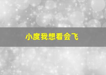 小度我想看会飞