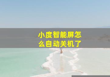 小度智能屏怎么自动关机了