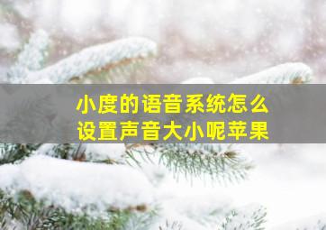 小度的语音系统怎么设置声音大小呢苹果