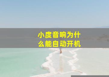 小度音响为什么能自动开机