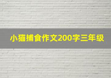 小猫捕食作文200字三年级