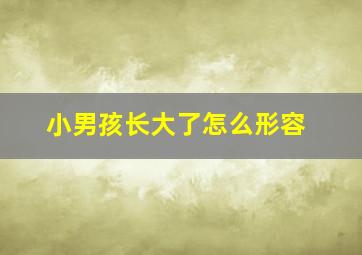 小男孩长大了怎么形容