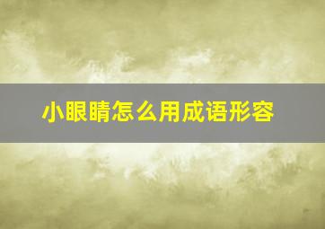 小眼睛怎么用成语形容