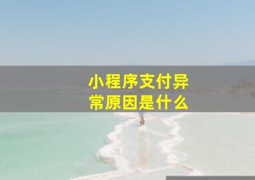 小程序支付异常原因是什么