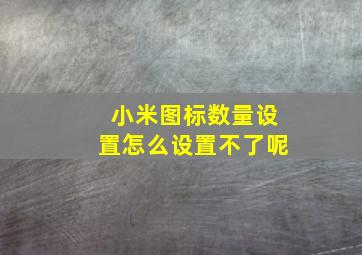 小米图标数量设置怎么设置不了呢