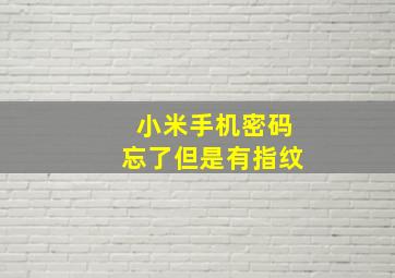 小米手机密码忘了但是有指纹