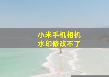 小米手机相机水印修改不了