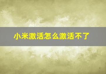 小米激活怎么激活不了