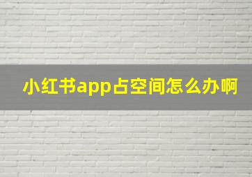 小红书app占空间怎么办啊