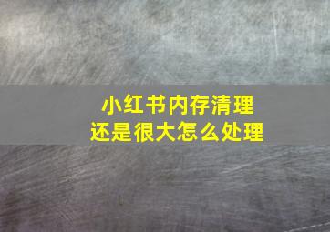 小红书内存清理还是很大怎么处理