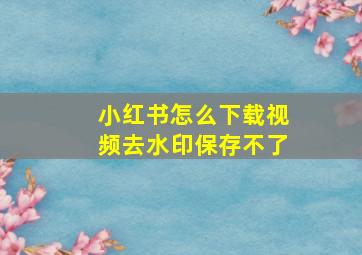 小红书怎么下载视频去水印保存不了