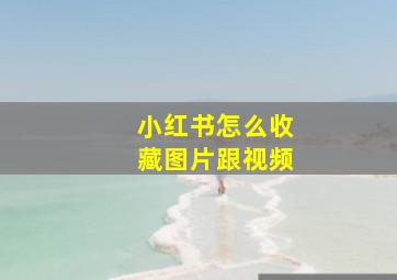 小红书怎么收藏图片跟视频