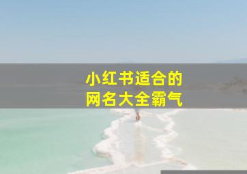 小红书适合的网名大全霸气