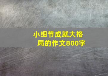 小细节成就大格局的作文800字