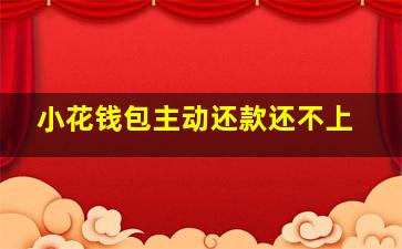 小花钱包主动还款还不上