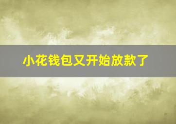 小花钱包又开始放款了