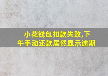 小花钱包扣款失败,下午手动还款居然显示逾期