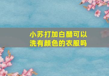 小苏打加白醋可以洗有颜色的衣服吗