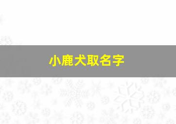 小鹿犬取名字