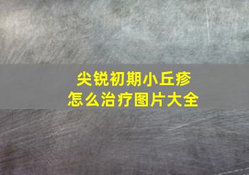 尖锐初期小丘疹怎么治疗图片大全