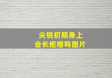 尖锐初期身上会长疙瘩吗图片