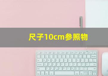 尺子10cm参照物