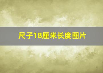 尺子18厘米长度图片